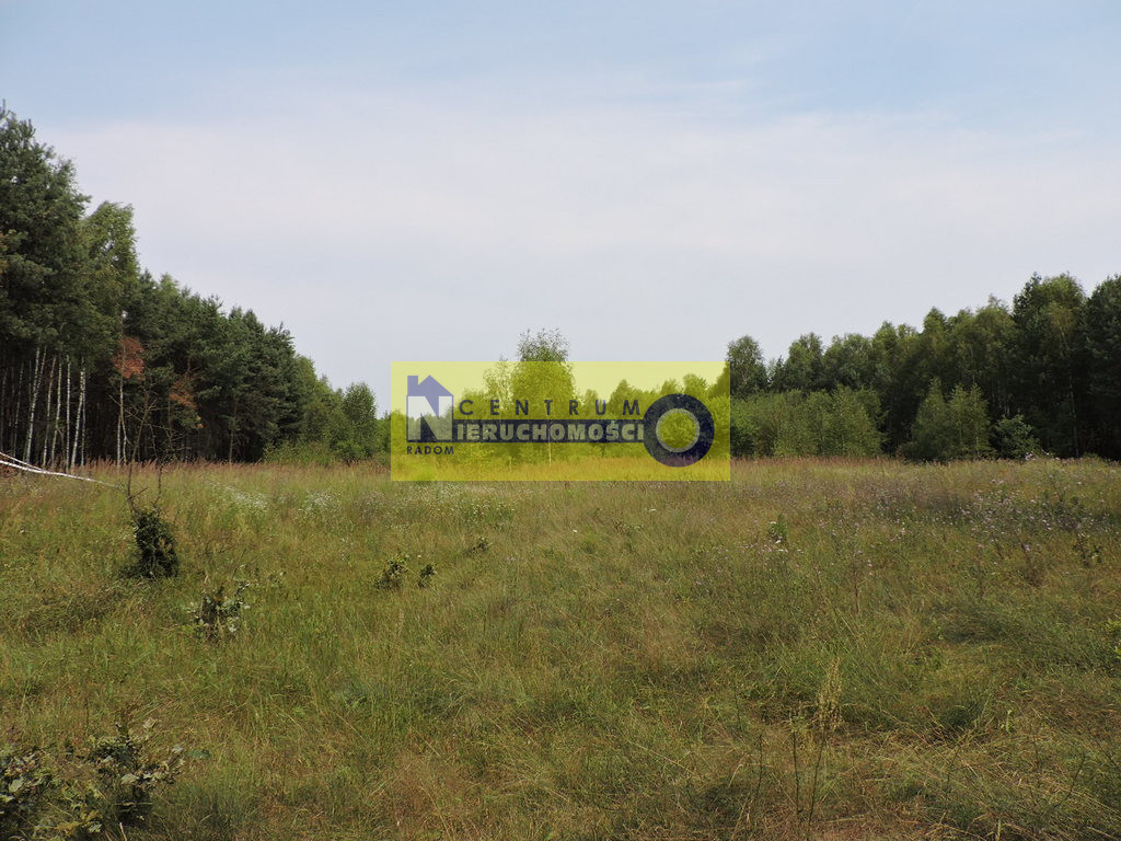 Działka Sprzedaż Kłudno
