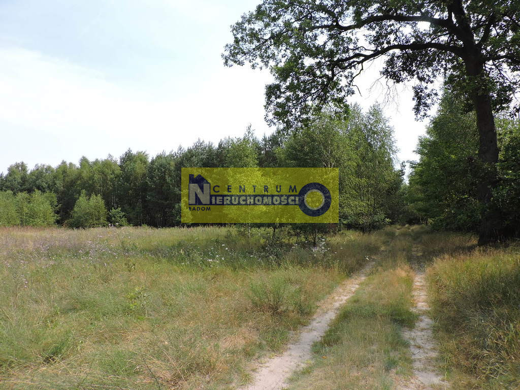 Działka Sprzedaż Kłudno