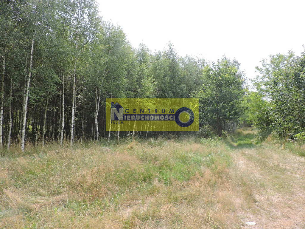 Działka Sprzedaż Kłudno