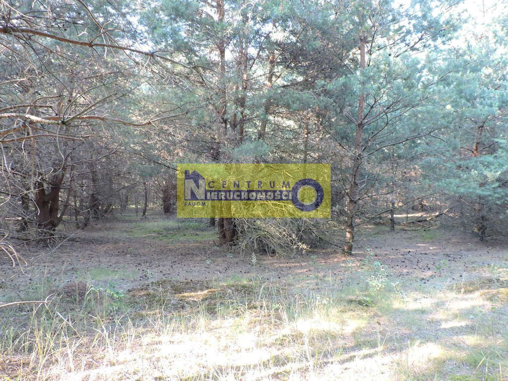 Działka Sprzedaż Kłudno