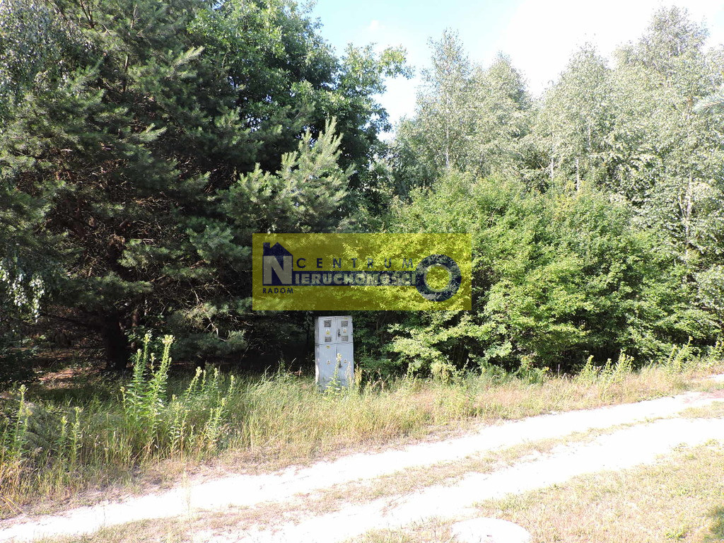Działka Sprzedaż Domaniów