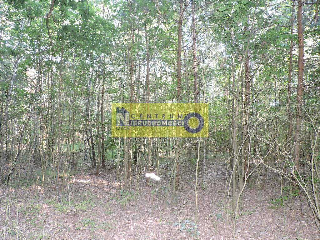 Działka Sprzedaż Domaniów