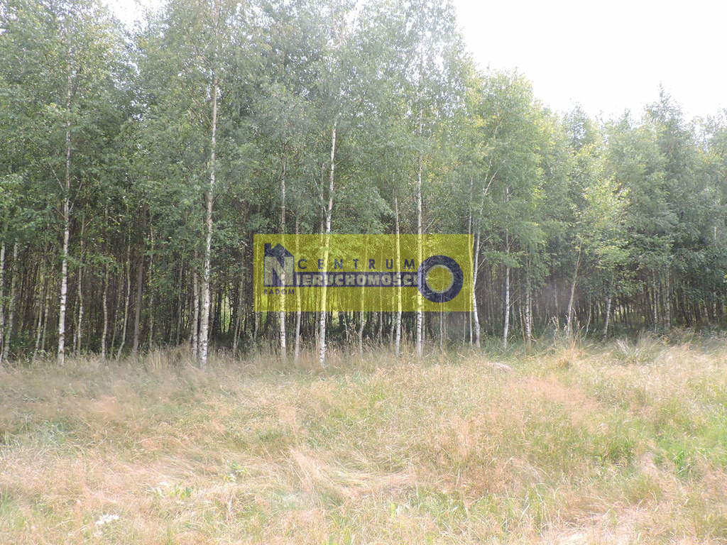 Działka Sprzedaż Kłudno