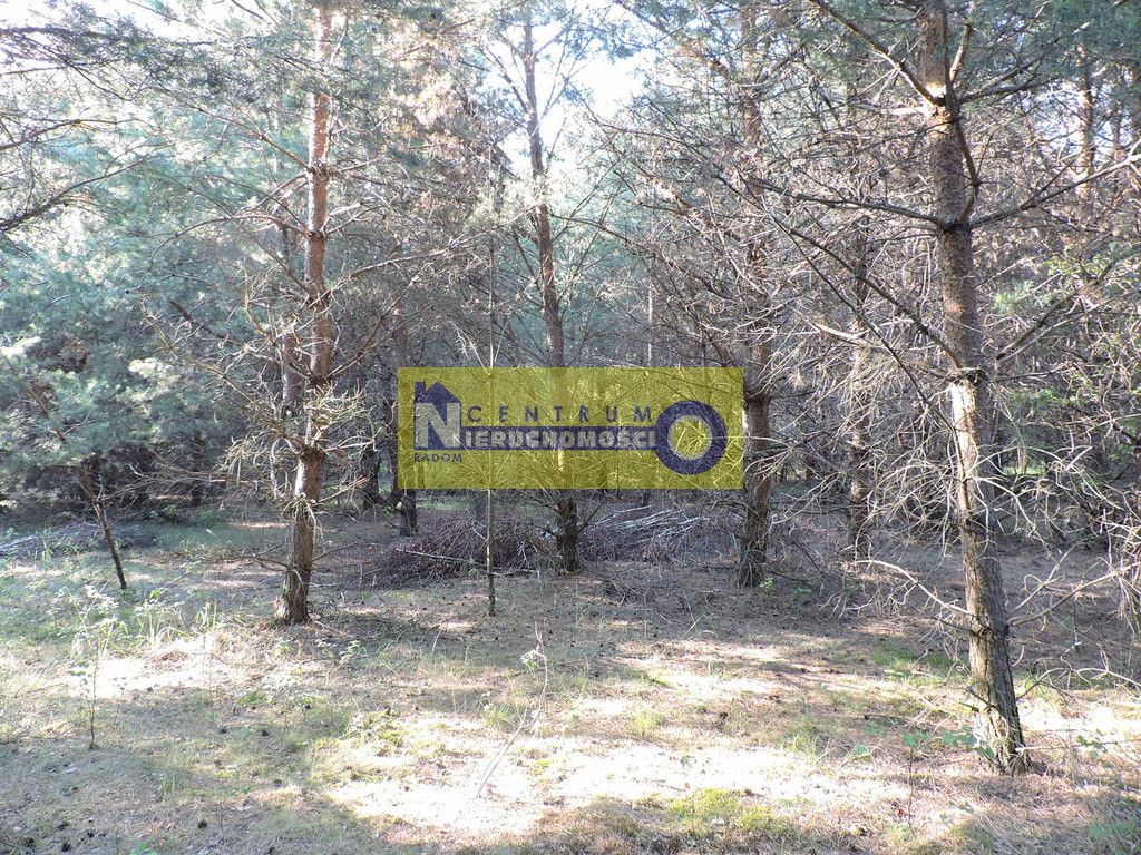 Działka Sprzedaż Kłudno