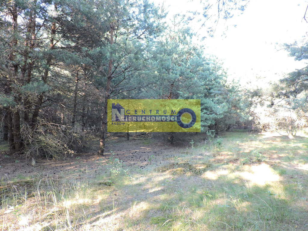Działka Sprzedaż Kłudno