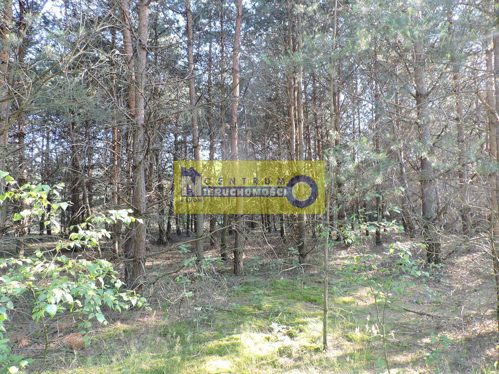 Działka Sprzedaż Kłudno