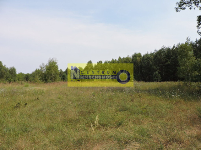 Działka Sprzedaż Kłudno