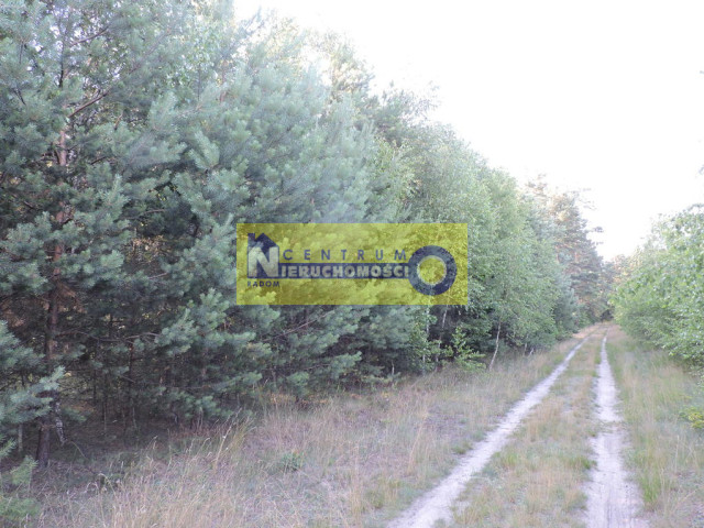 Działka Sprzedaż Kłudno